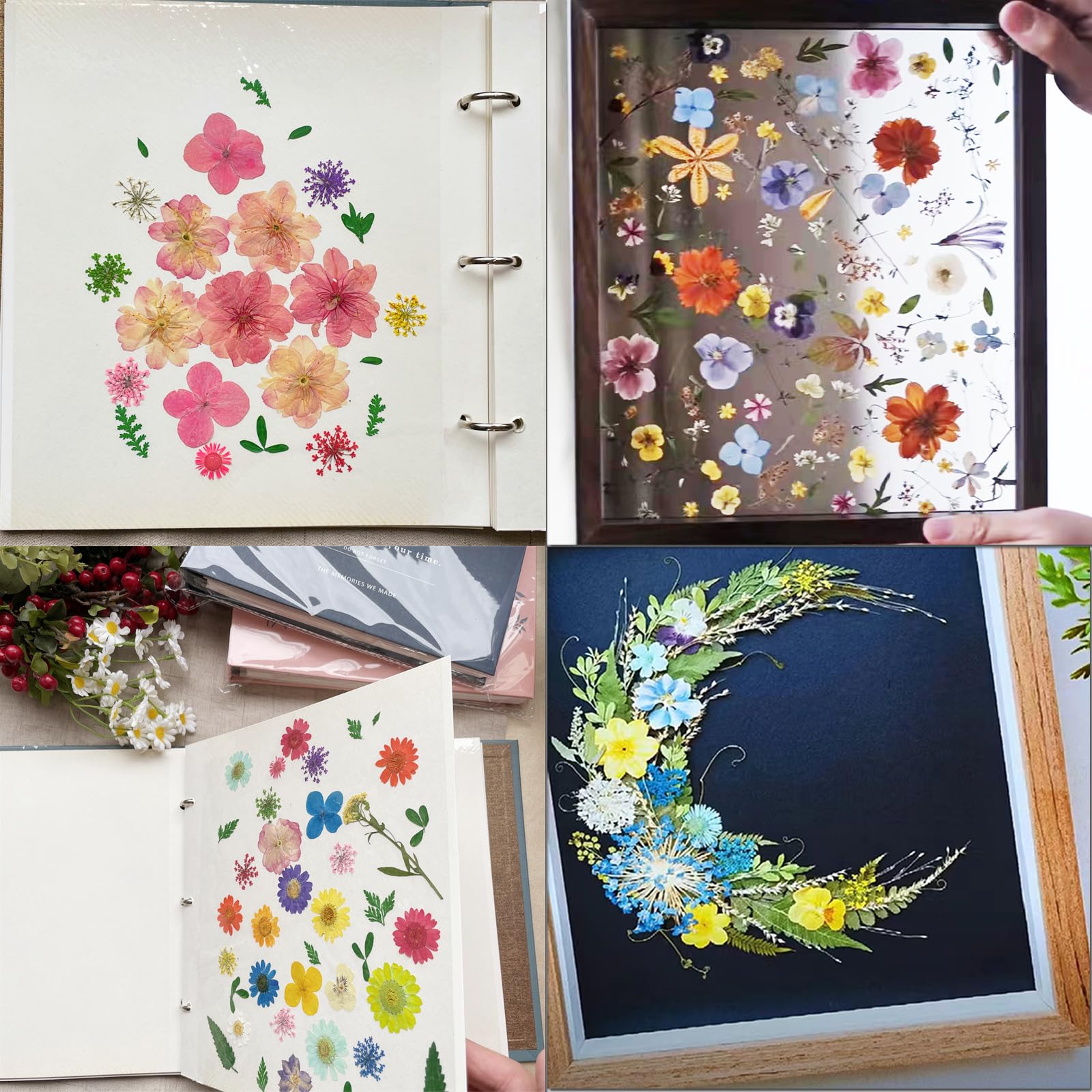 Lot de 20 feuilles de papier buvard pour presse à fleurs, 20 x 26 cm, très absorbant et réutilisable