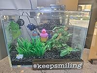 Review Image by hevenly hevenly