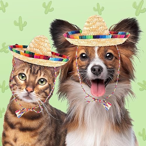 Miniatura 4 de Paquete de 36 mini sombreros, 95.94 pulgadas, pequeños sombreros de paja de México, sombreros de fiesta del Cinco de Mayo para niños, perros,