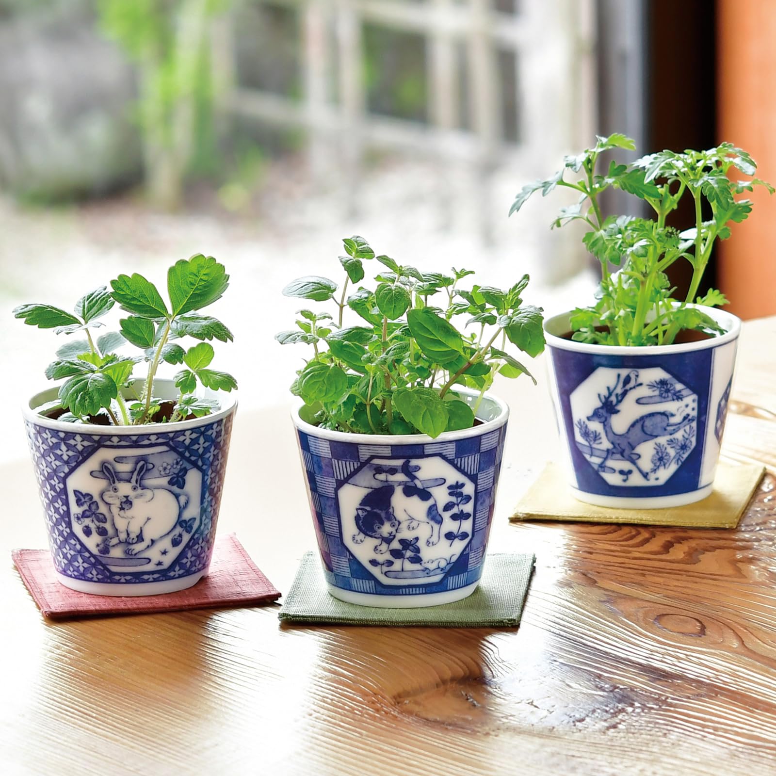 陶芸　茶盆 Amazon.co.jp: ティーポット 8オンス 中国Yixing Xishi