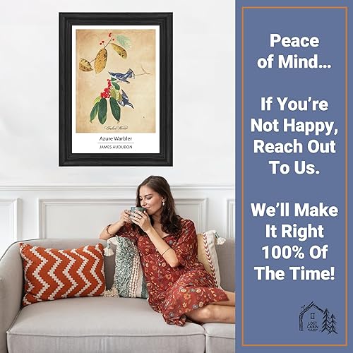Vista 160 de Towee Bunting by James Audubon - Marco biselado negro de 12 x 16 pulgadas, decoración artística enmarcada para pared, reproducción de pinturas
