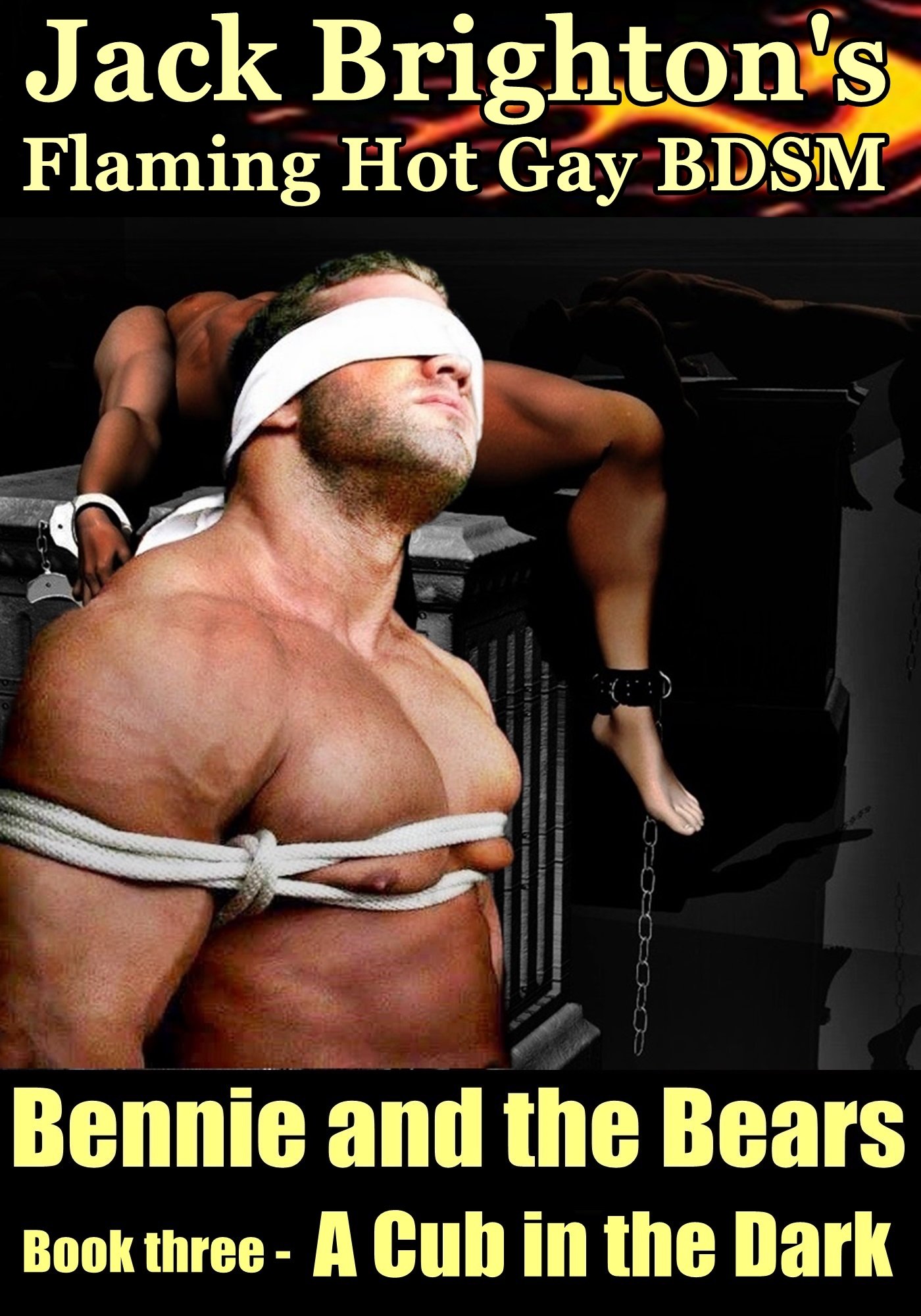 Bennie and the Bears - A Cub in the Dark