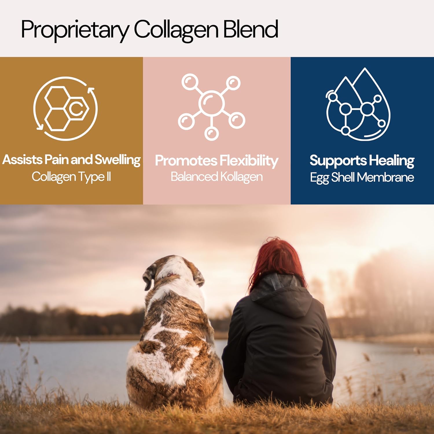 Glucosamine for Dogs - Beef Flavor Senior Dog Glucosamine Chondroitin Chews, 60 Count, Supports Hip & Joint Health, MSM, Turmeric, Collagen, Large Dog Supplement, 180g