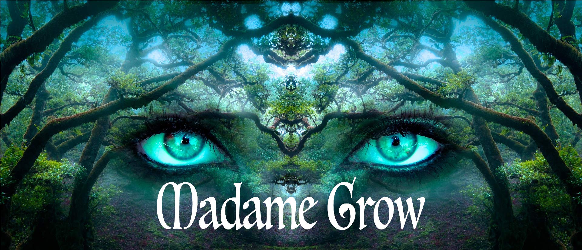 MADAME GROW/Tattoo Bloom 4 Kit/Consigue la Mejor floración para tus Plantas 4.20 /Multiplica Flores y Frutos explosivos y Pesados, mas Resina - 3X 250 ml + 30gr