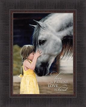 Love Is Patient Love Is Kind by Lesley Harrison 17x21 Girl Kissing Horse Kiss Scripture Religious Bible Verse Framed Art Print Wall Decor Picture