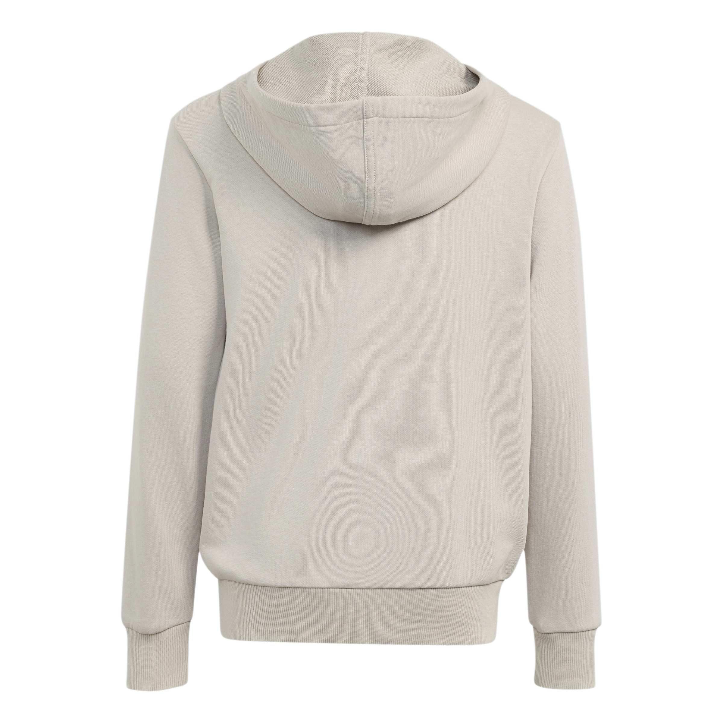 adidas Uniseks - dzieci Essentials Big Logo Hoodie Sweatshirt, wonder alumina/orbit grey/Frozen Lemon/Solar Lemon, 13-14 Years
