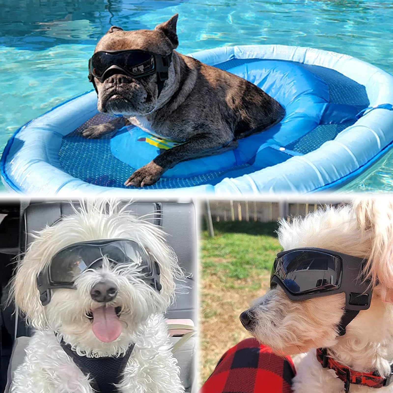 Hundebrille UV-Schutz Sonnenbrille für Kleine Mittelgroße Hunde