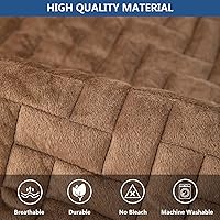 Vista 3 de Eismodra Fundas para reposabrazos, funda de sofá, fundas para respaldo, fundas antideslizantes para sillón para perros, gatos y mascotas, sofá Marrón