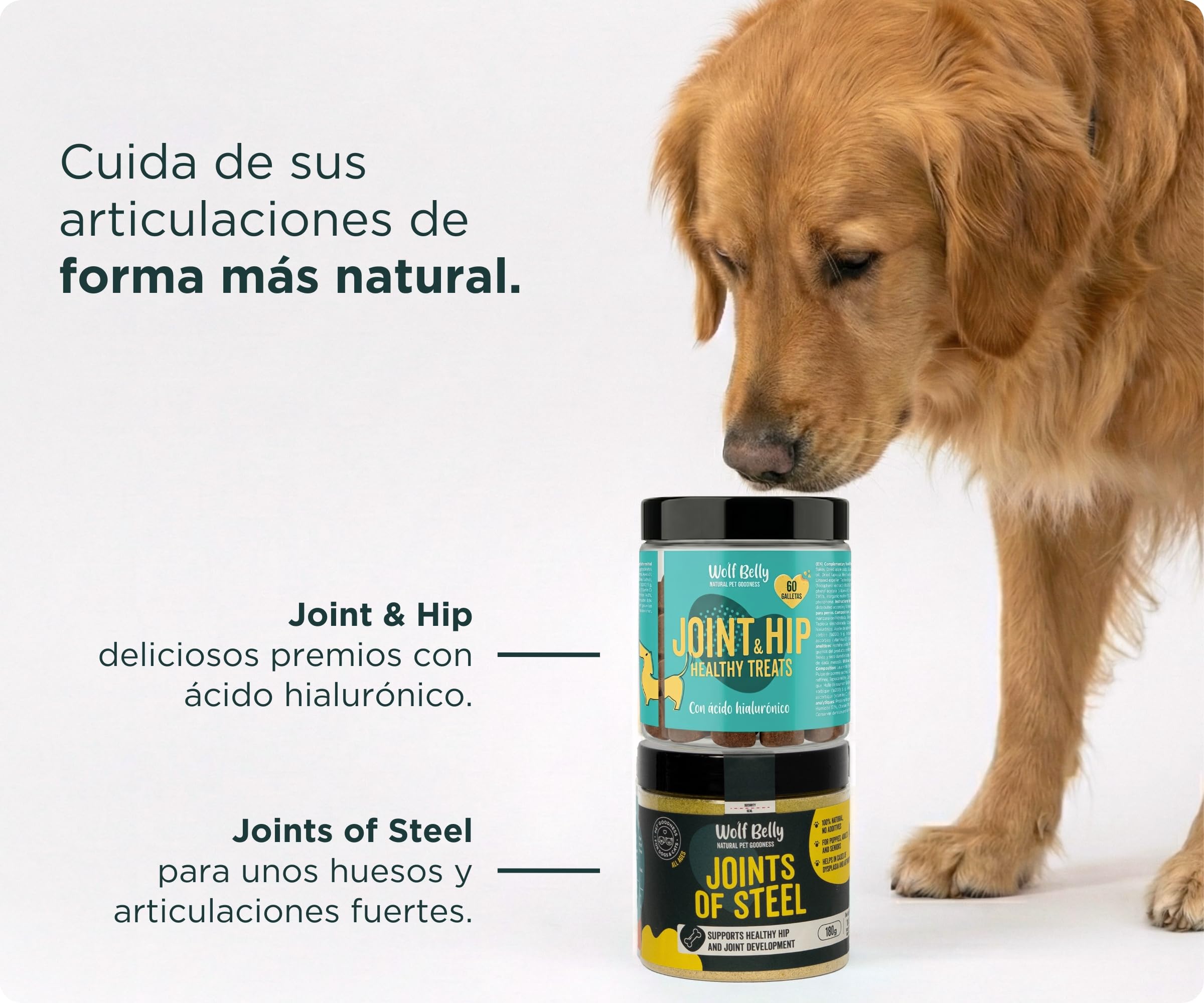 Wolf Belly - Pack Condroprotector para Perros | Suplemento Articular en Polvo + Galletas con Ácido Hialurónico | Articulaciones Fuertes | Antiinflamatorio - Hecho en Europa