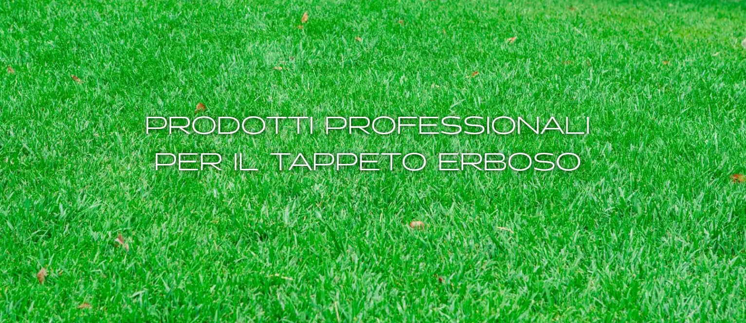 Emerald COUNTRY TurfExcellent, Sementi per Prato ad Alta Qualità Estetica,Scuro Denso e Resistente, 10kg (400mq)