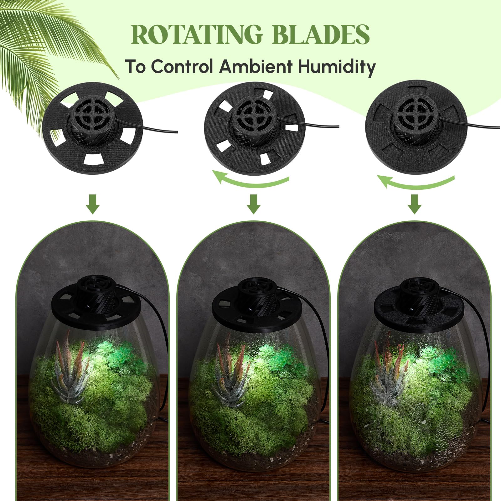 Maxdot Kit de terrario de vidrio con luz LED de crecimiento, terrario de escritorio para trampa de moscas Venus, suculentas, musgo y jardín en miniatura, maceta de escritorio de vidrio de borosilicato