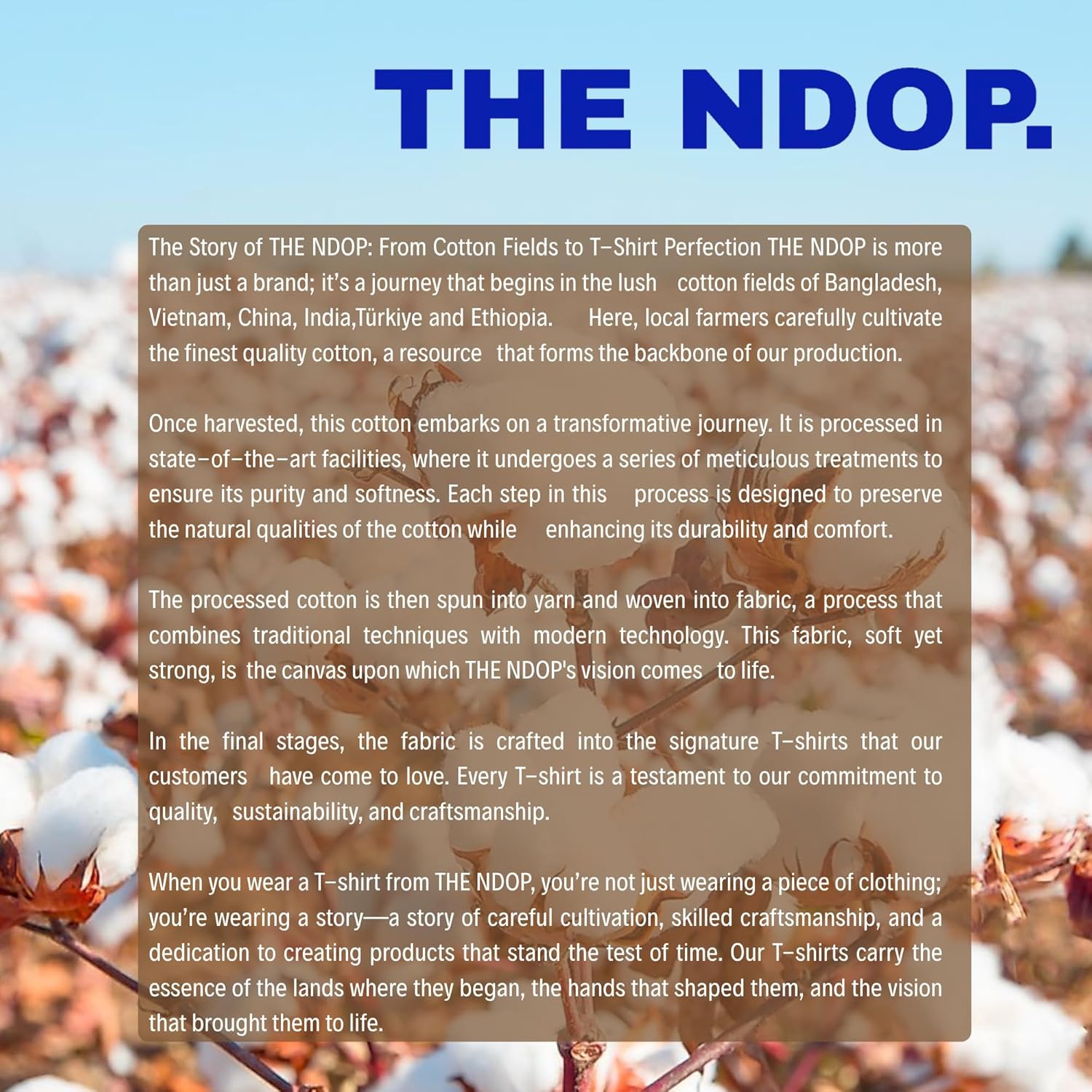 Unisex Basic T-Shirt I Soft, Breathable & Lightweight Everyday Tee for Men & Women I Essential Crew Neck T-Shirt - Image 9