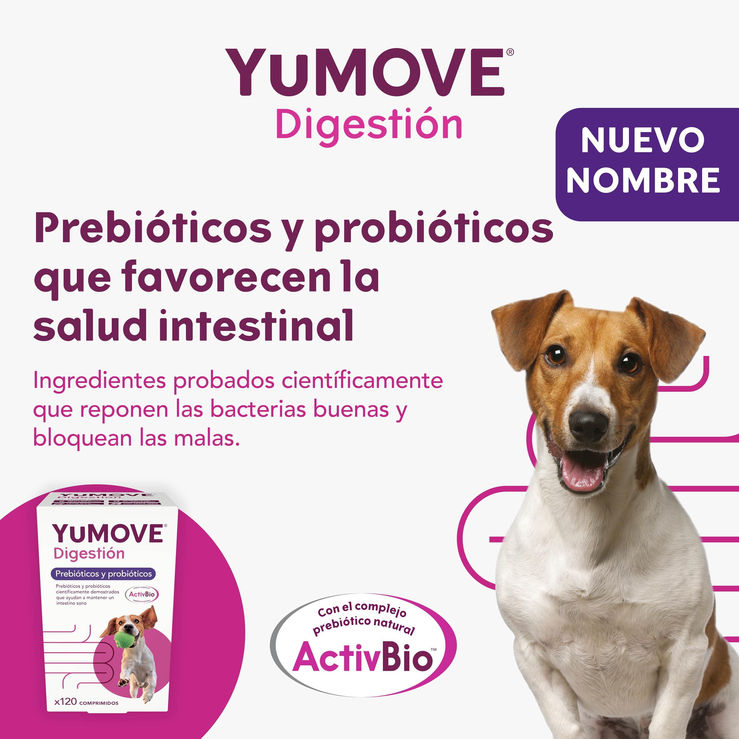 YuMOVE Probióticos para Perros 120 Pastillas - Fórmula ActivBio con L. Acidophilus, B. Bifidum & Prebióticos para Perros Naturales - Appoyo Intestinal, Digestión Saludable & Bienestar Canino Diario