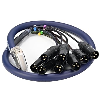 3.28ft/1M DB25 Male to XLR Male Snake, 8 Channel 3 Pin XLR Snake Cable with db25 Connector for Mixing Consoles, Amplifiers, and Speakers