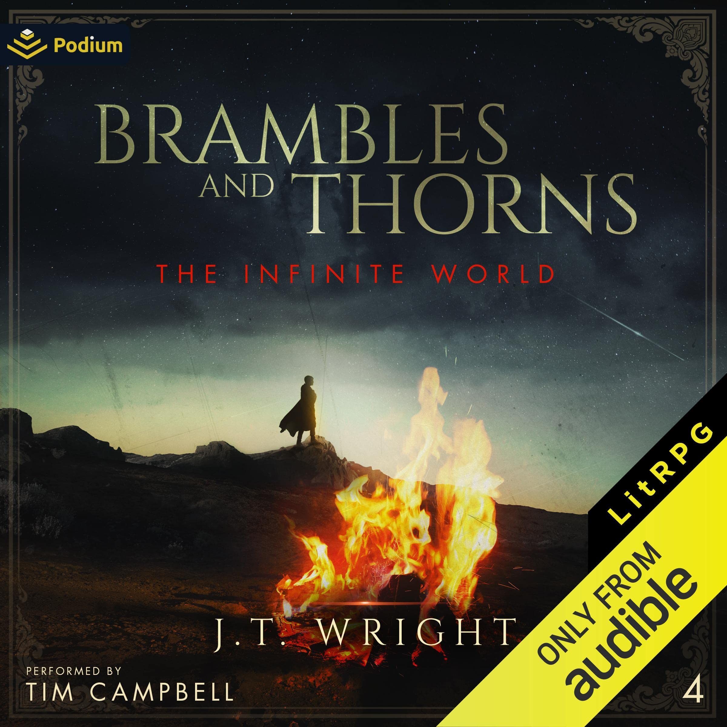 Brambles and Thorns: The Infinite World, Book 4