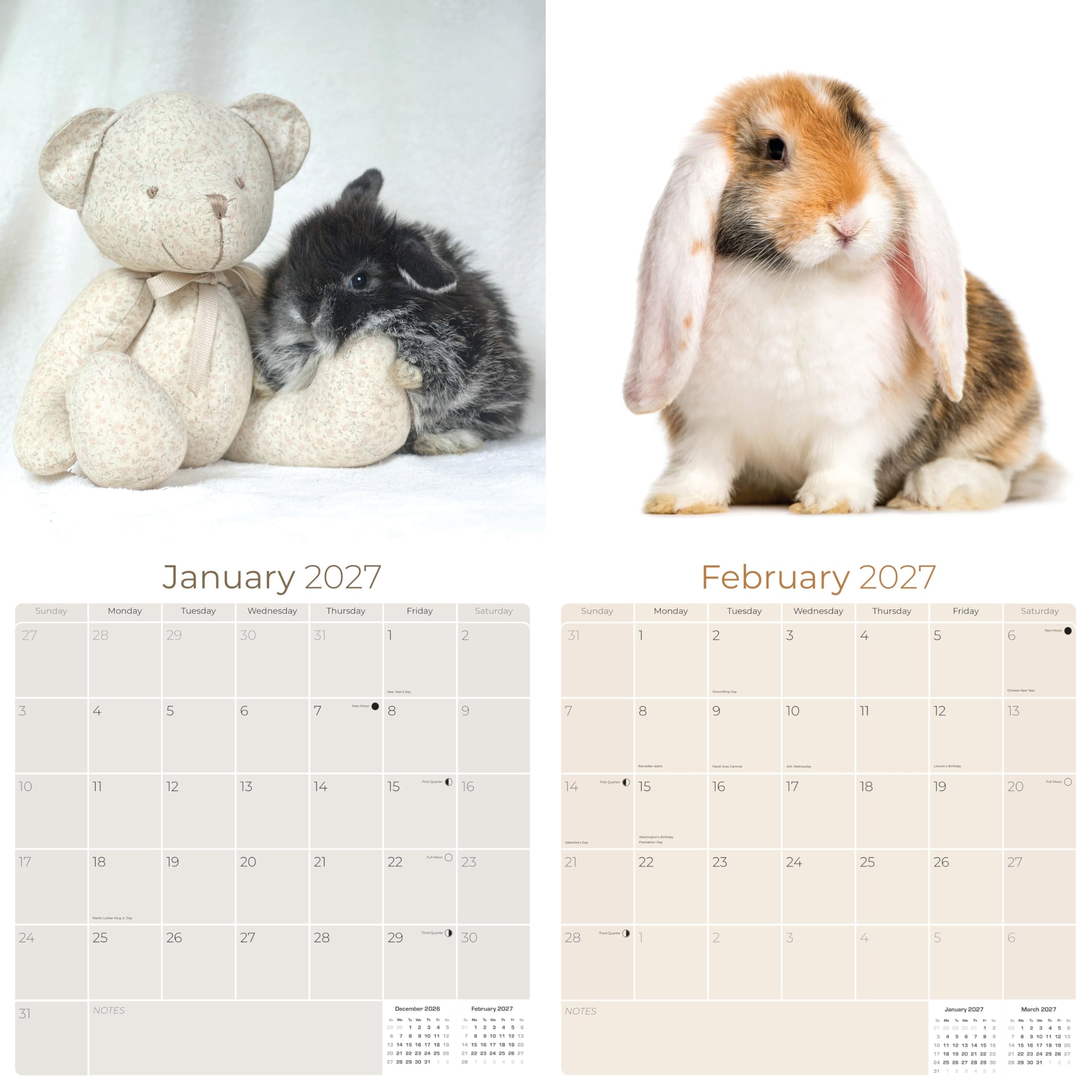 2023 2024 Lop Eared Rabbit Kalender – Niedlicher Tier-Monats-Wandkalender – 30,5 x 61 cm offen – dickes Papier ohne Blättchen – Geschenk – Akademischer Lehrerplaner Kalender Organisieren & Planen
