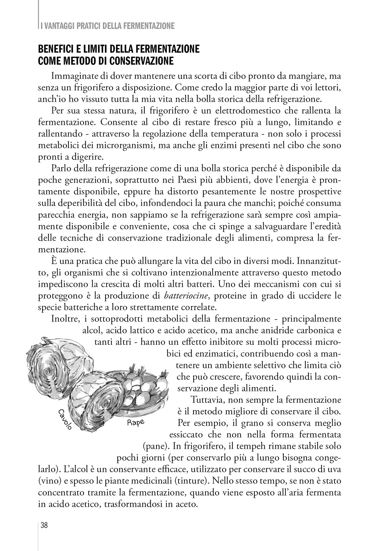 Il grande libro della fermentazione. La bibbia della fermentazione casalinga, da tutto il mondo, a impatto zero