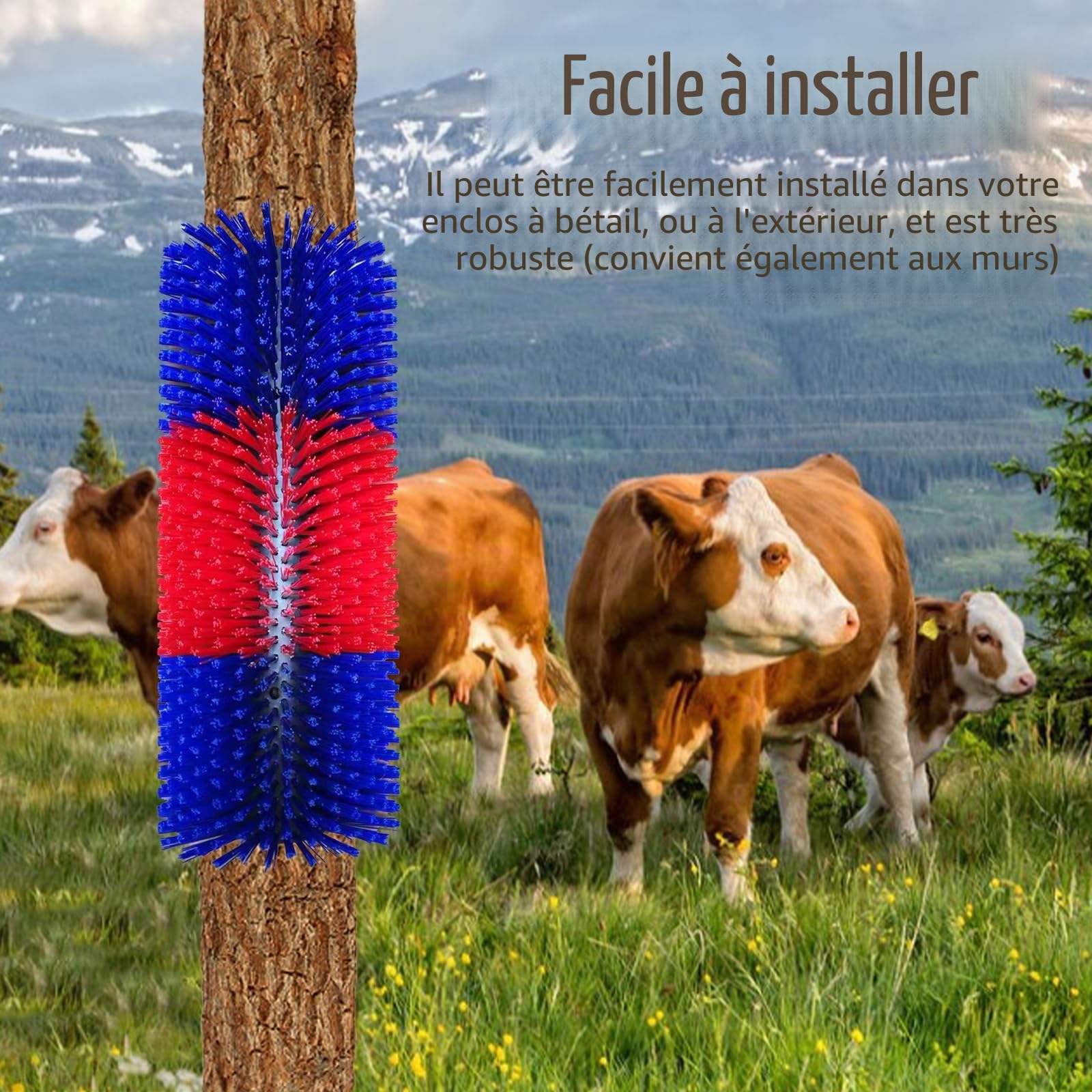 Brosse à Gratter pour Cheval Vache, Brosses à Cheval Semi-Rondes 40cm Brosses à Vache Brosse à Gratter Universelle Tapis à Gratter en Nylon, Rouge Bleu