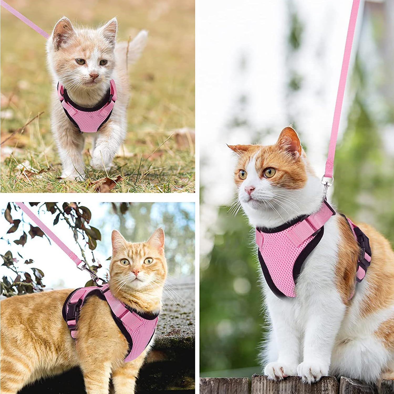 Cat Harness Mesh Traspirante Regolabile Riflettente Guinzaglio per Gatti Cuccioli (S, Rosa)