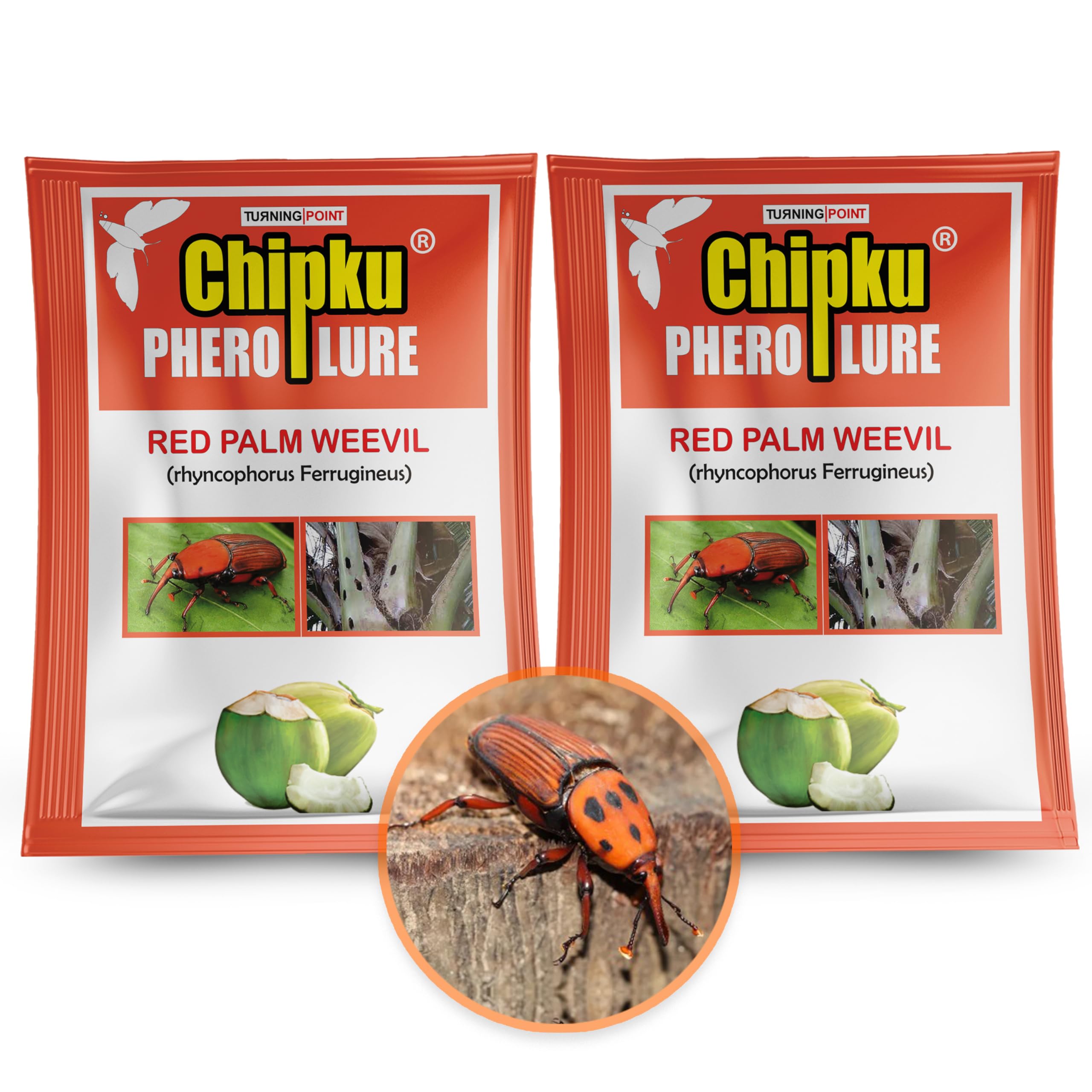 Chipku_Red Palm Weevil Pheromone Lure Against Rhynchophorus ferrugineus & Oryctes Rhinoceros for Coconut Palm Tree Insects Control/Organic Farming/Turning Point Natural Care (Only Lure Pack of 2)