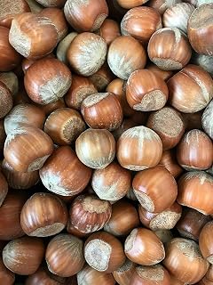 Superpet Hazelnuts In Shells For Wild Birds And Squirrels (2.50Kg)
