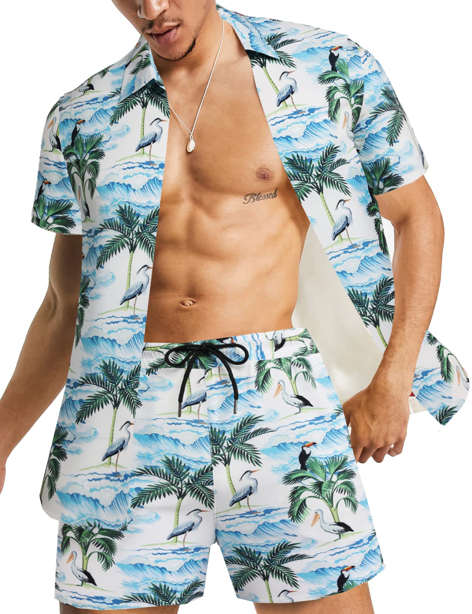 Daupanzees Men's Luxury Casual Button Down Short Sleeve Hawaiian Shirt Suits