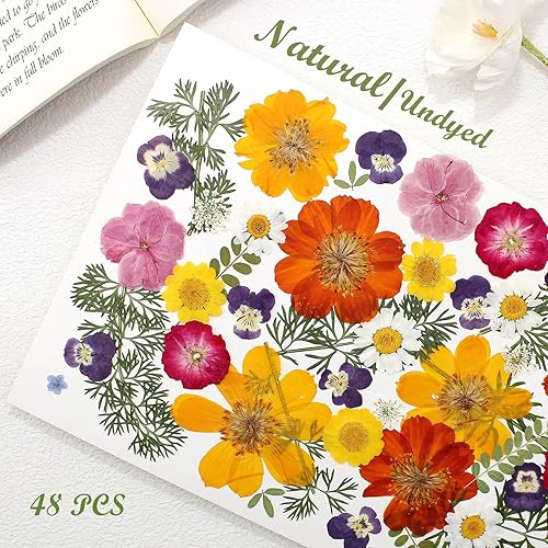 Vista 45 de 48 piezas de flores secas prensadas naturales para decoración de pasteles, flores secas reales para la fabricación de joyas de resina, manualidades
