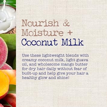 OGX Nourish & Moisture + Coconut Milk Weightless Oil Mist, Leave-In Spray Treatment to Help Defrizz, Hydrate & Replenish Curly Hair, Vegan, Silicone & Paraben-Free, 4.2 fl oz