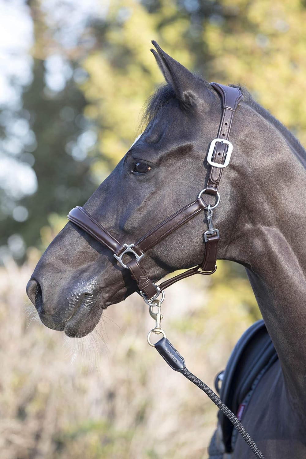 LeMieux Anatomic Headcollar for Horses - Padded Leather & Metal Fittings - Adjustable
