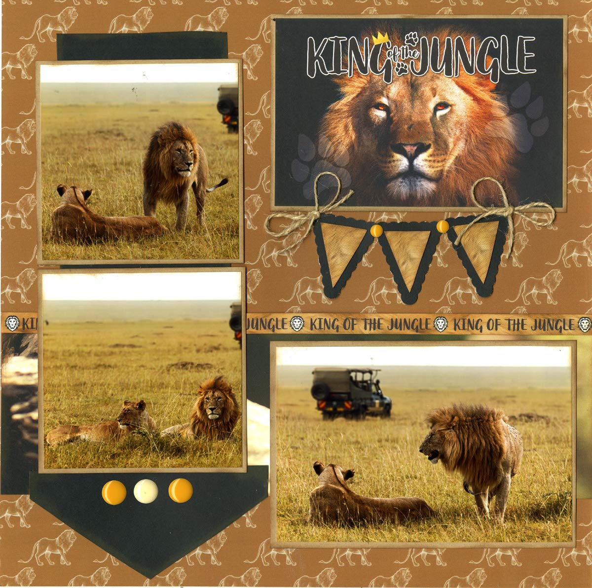 Reminisce King of the Jungle Collection Scrapbook Kit Paper Crafts, Multi Color Palette