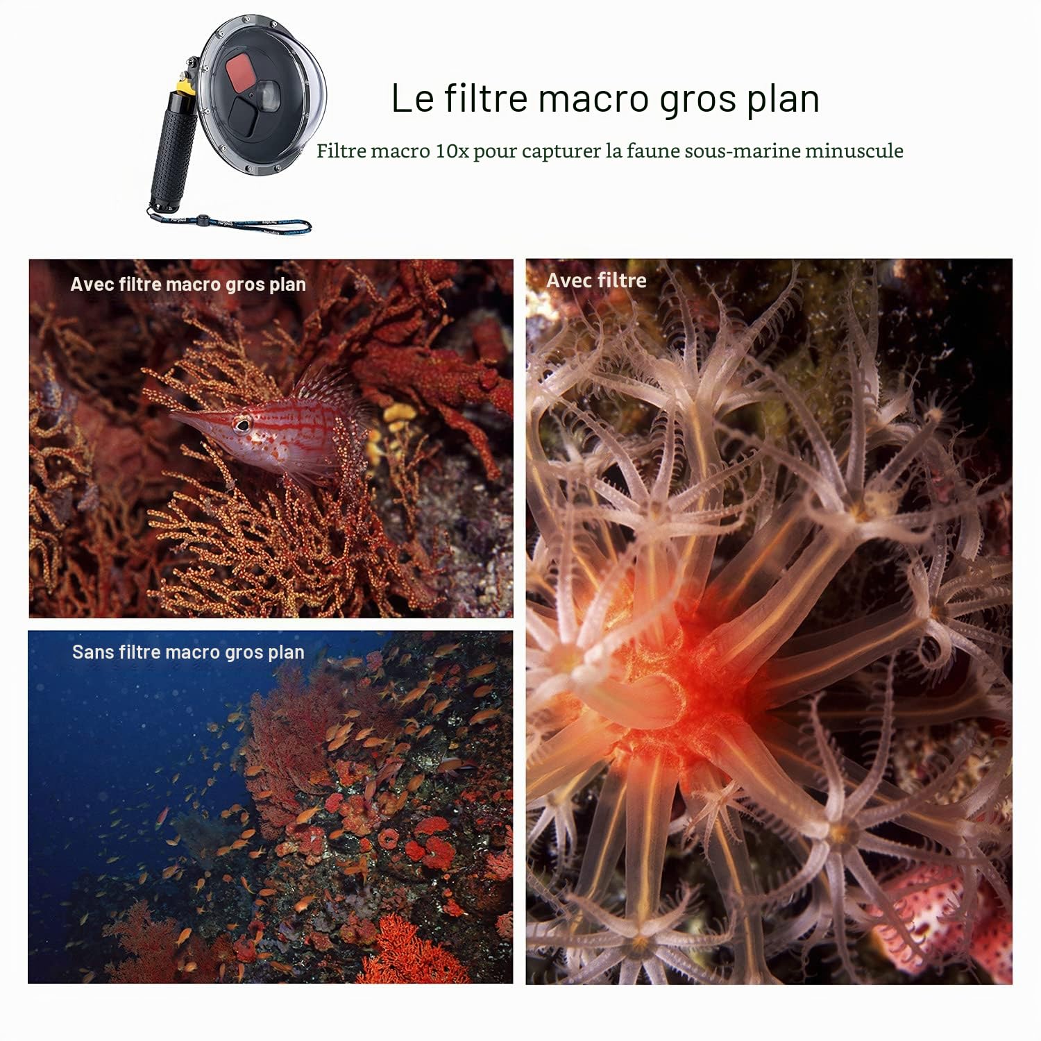 Port dôme étanche pour GoPro Hero 13 12 11 10 9 noir avec filtres commutables intégrés, poignée flottante, déclencheur, boîtier dôme sous-marin pour GoPro 9 10 11 12 13 Noir