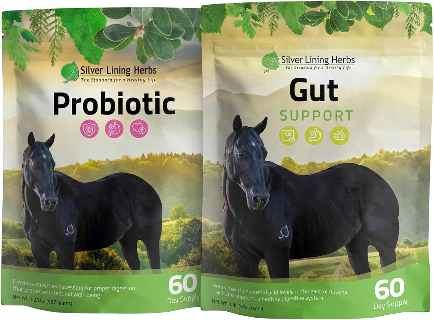 Silver Lining Herbs Gut Health Bundle for Horses – Gut Support + Probiotic Powder for Digestive Balance, Ulcer Support, Nutrient Absorption & Immune Health