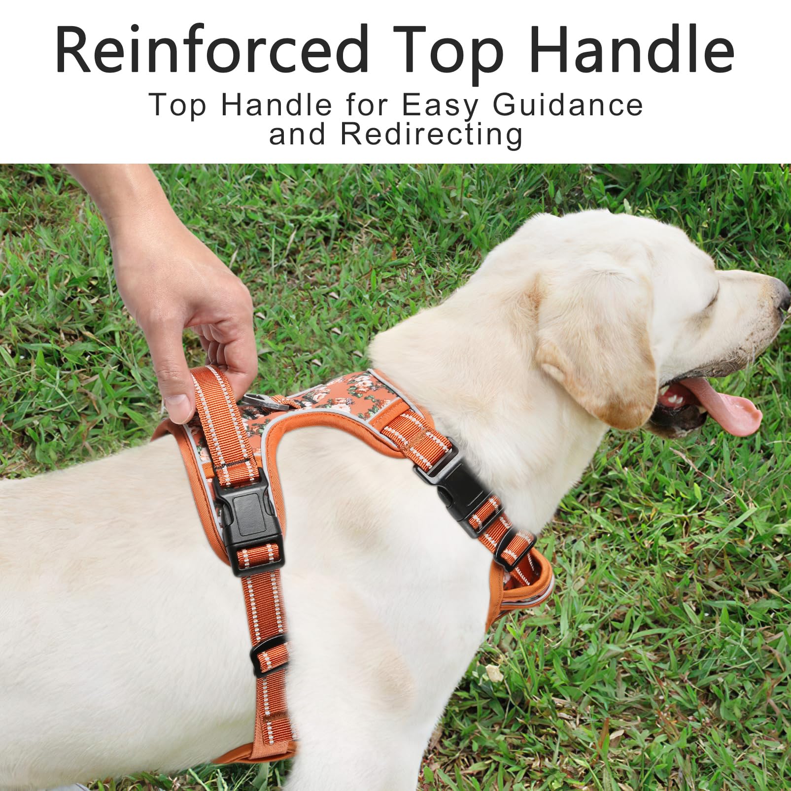 HEELE Pettorina Cane, Imbracatura Sganciata Rapido dal Collo, Pettorina Anti-tiro Riflettente e Regolabile con Maniglia Comoda, Morbida e Imbottita per Cani Piccola Media Grande, Floral-Arancione XL
