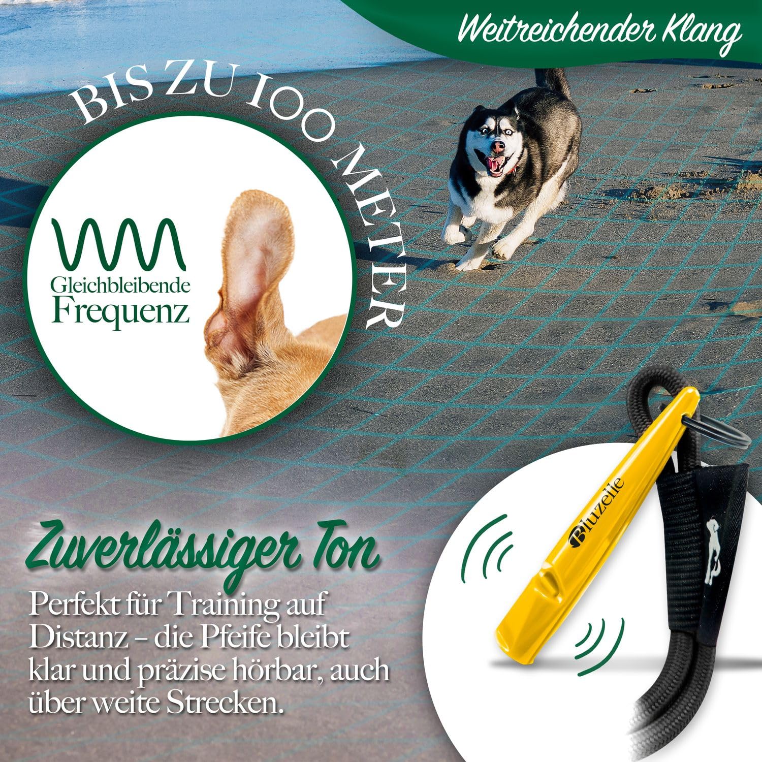 bluzelle Recall 5800 Professional Dog Whistle with Lanyard, BPA-Free Plastic Training Whistle - Image 3