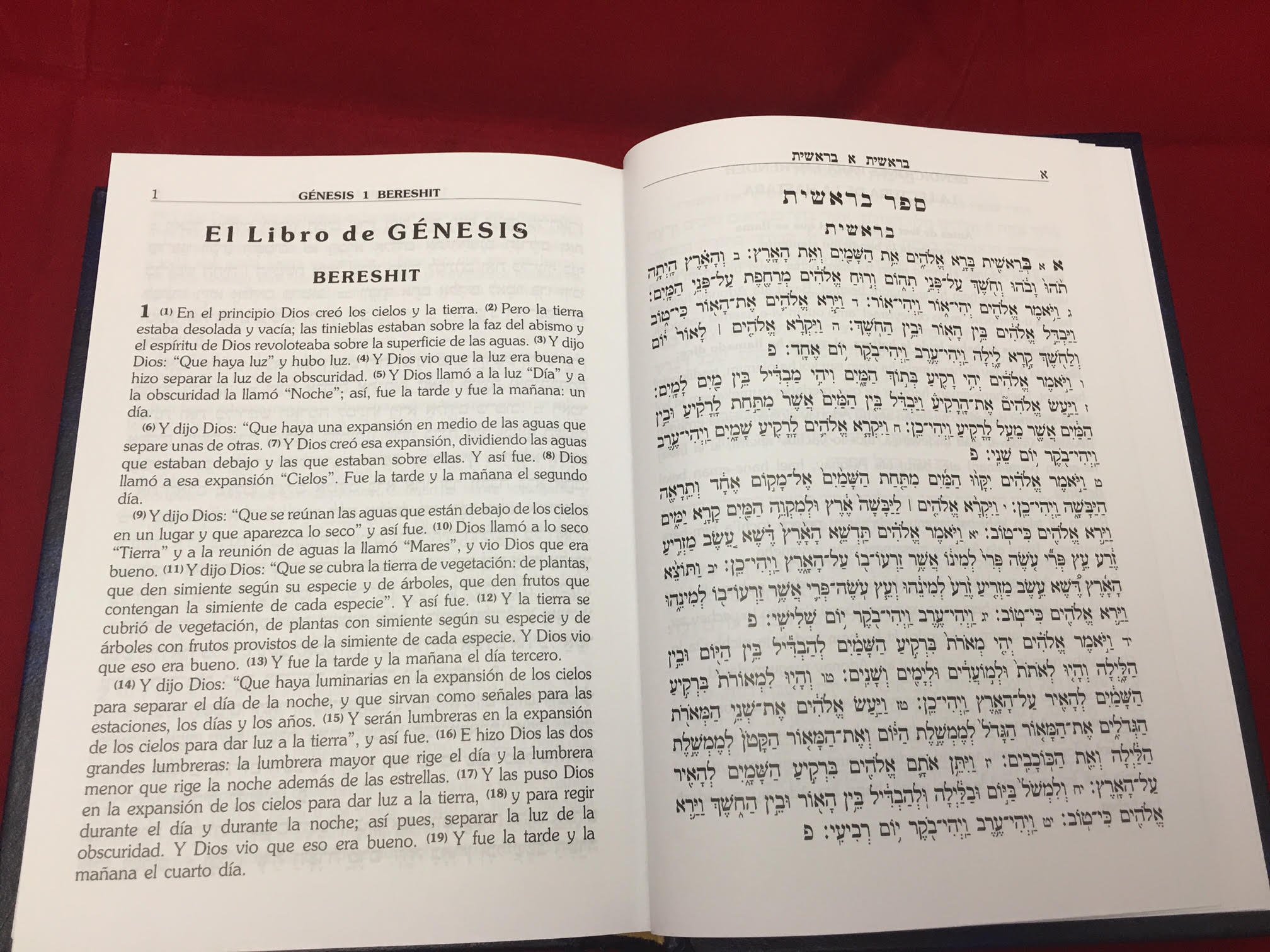 Judaica TORAH en hebreo y español Pentateuco y Haftarot Libro de la Biblia Judaica Israel