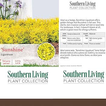 16　Sunshine leaves Buy Omix-ADA Leaf Spring Assembly For 1941-53 Jeep M & CJ