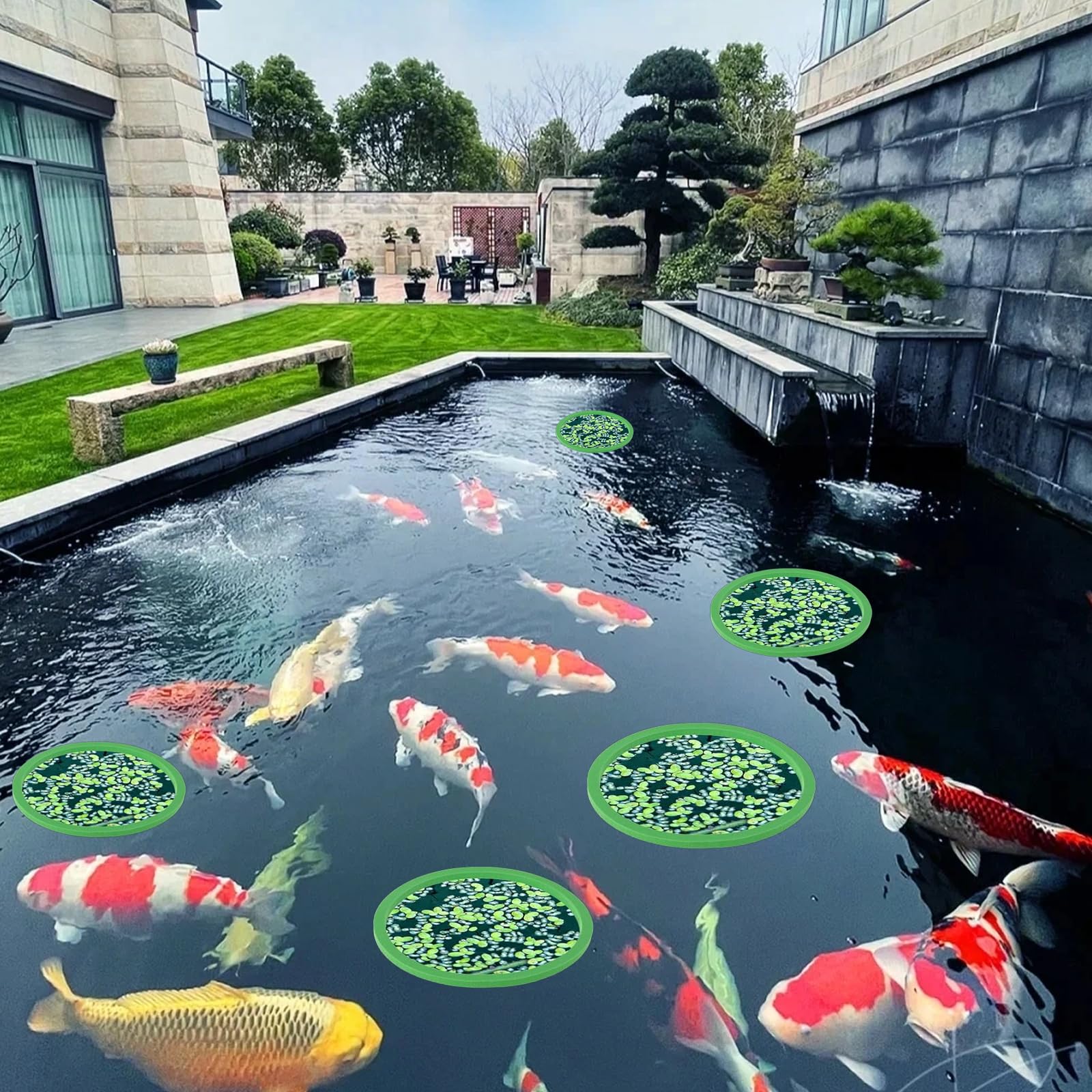 VPB 10 Pièces Anneau d'Alimentation Flottant Rond pour Poissons d'Aquarium, Plantes Flottantes, Coraux et Tortues - 5 Tailles