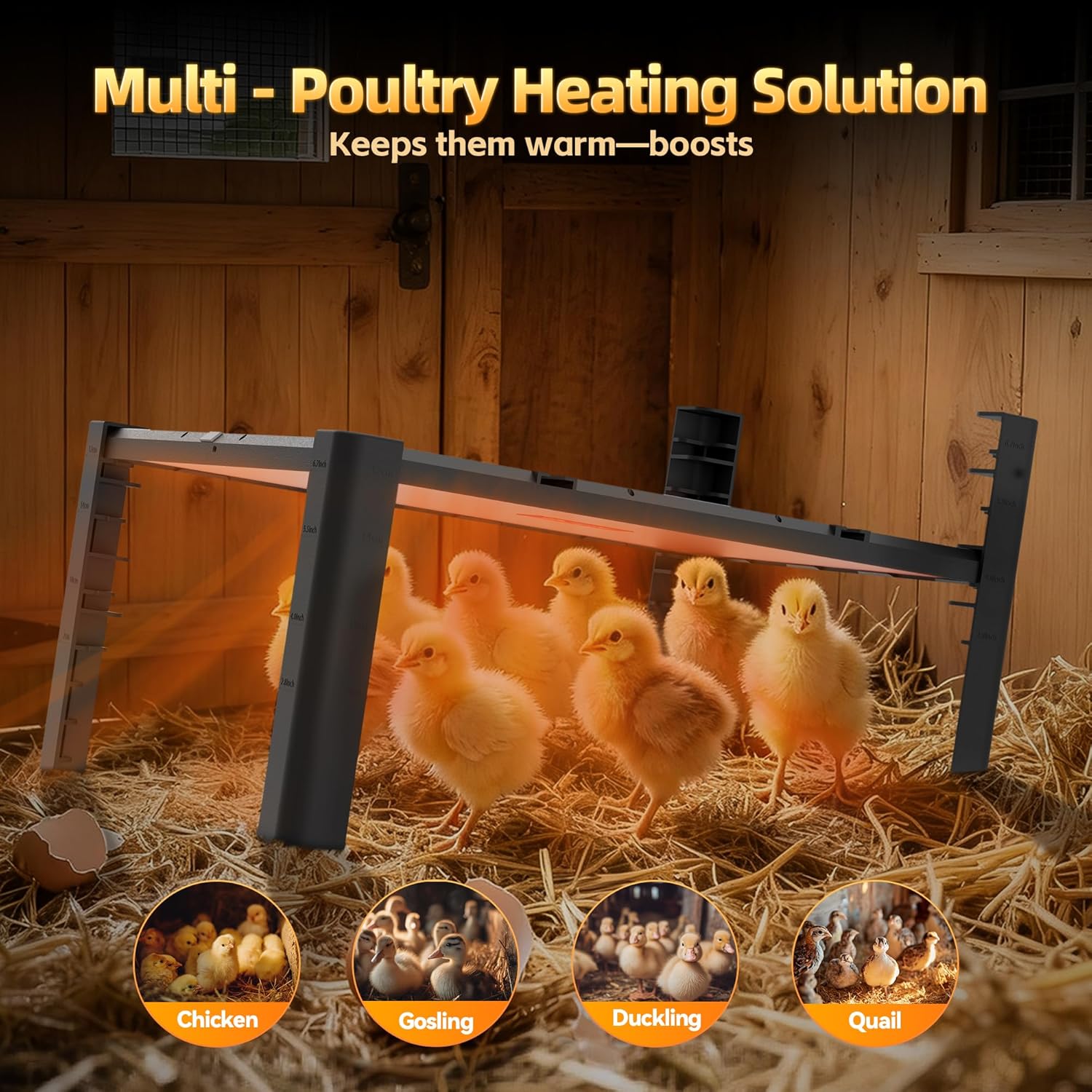 Brooder Plate for Chicks – Adjustable Chick Heat Plate, Heat Plate for Chicks with 95–167℉ Temperature Control, Height Adjustable Chicken Brooder Heater, Anti-Roost Design, Safe ABS Chick Brooder