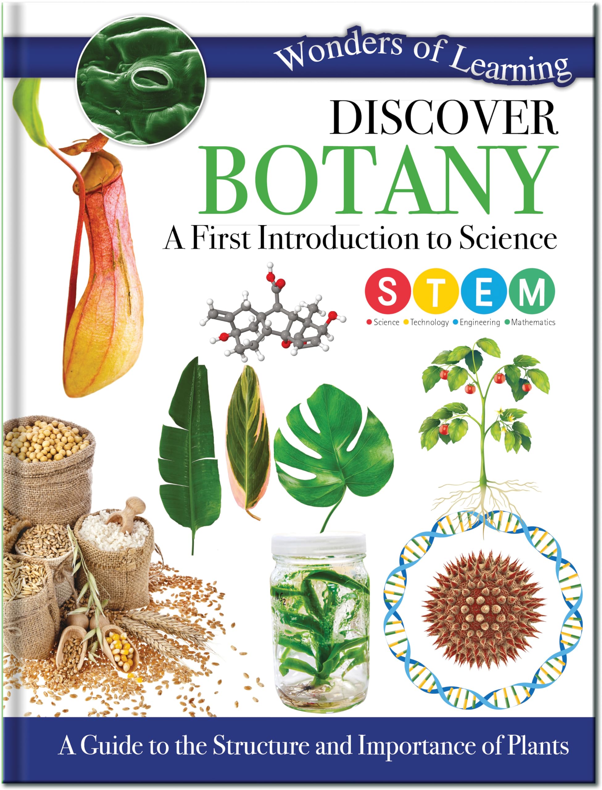 Discover Botany: A First Introduction to Science (Wonders of Learning Padded Foil Book)