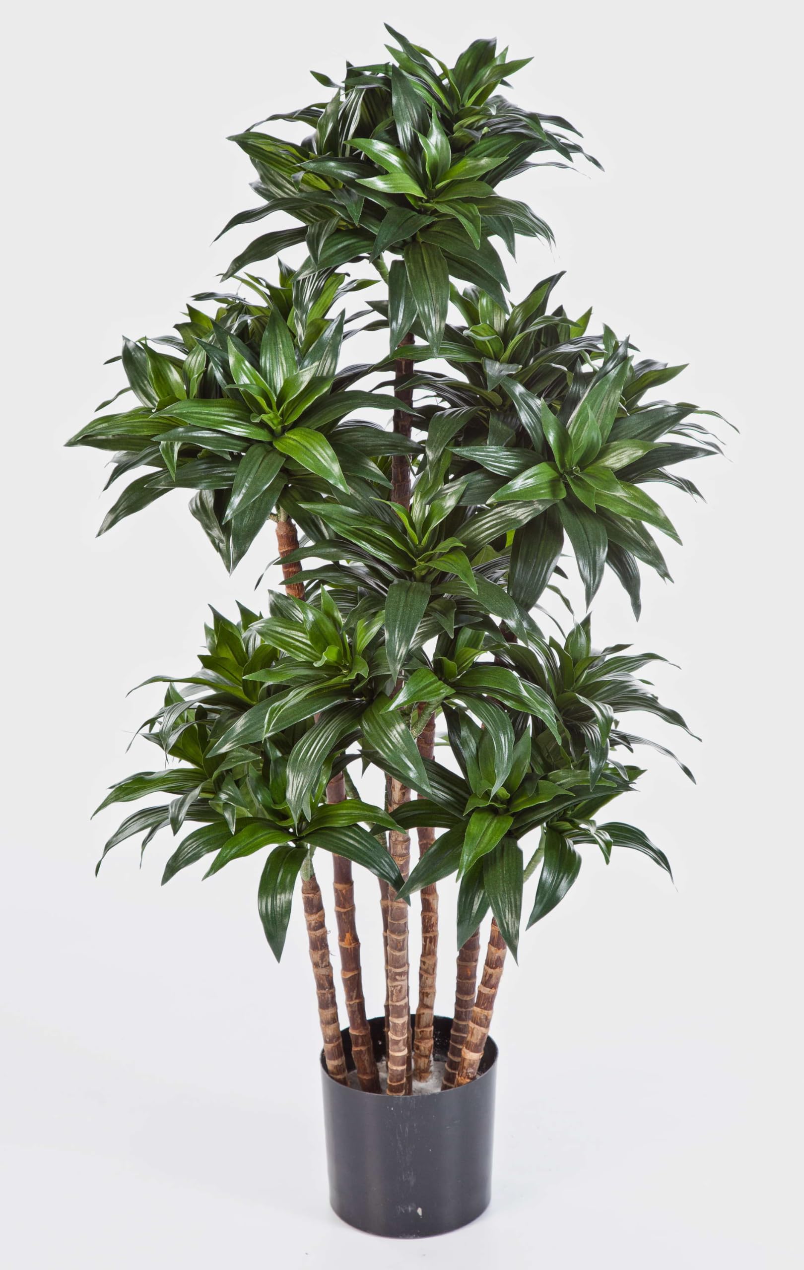 Dracaena Fragrans compact artificiel 120cm en pot de 580 feuilles vertes