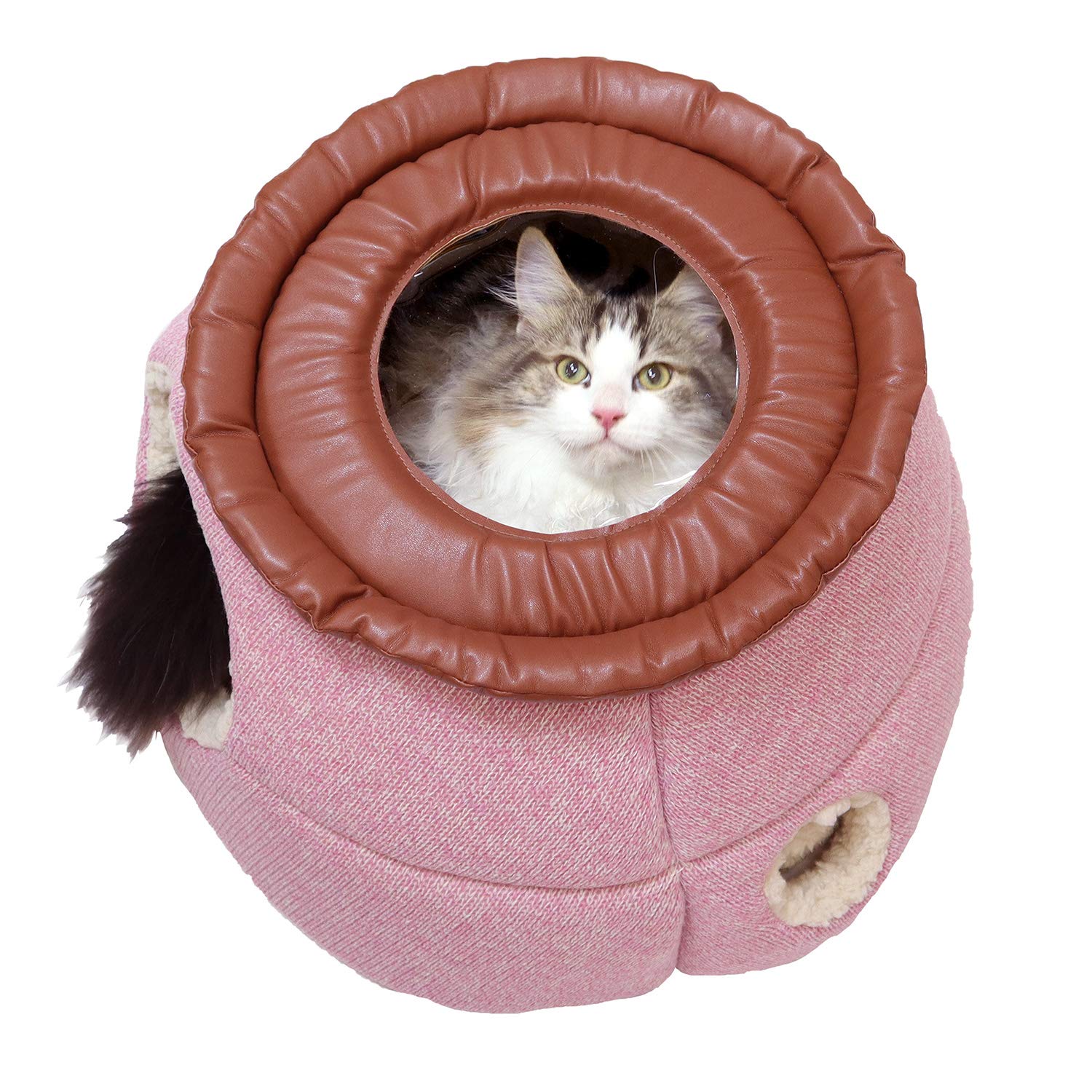 Petz Root Nyantomo See-Through Otopa 2020 Nyanmaru : Amazon.sg
