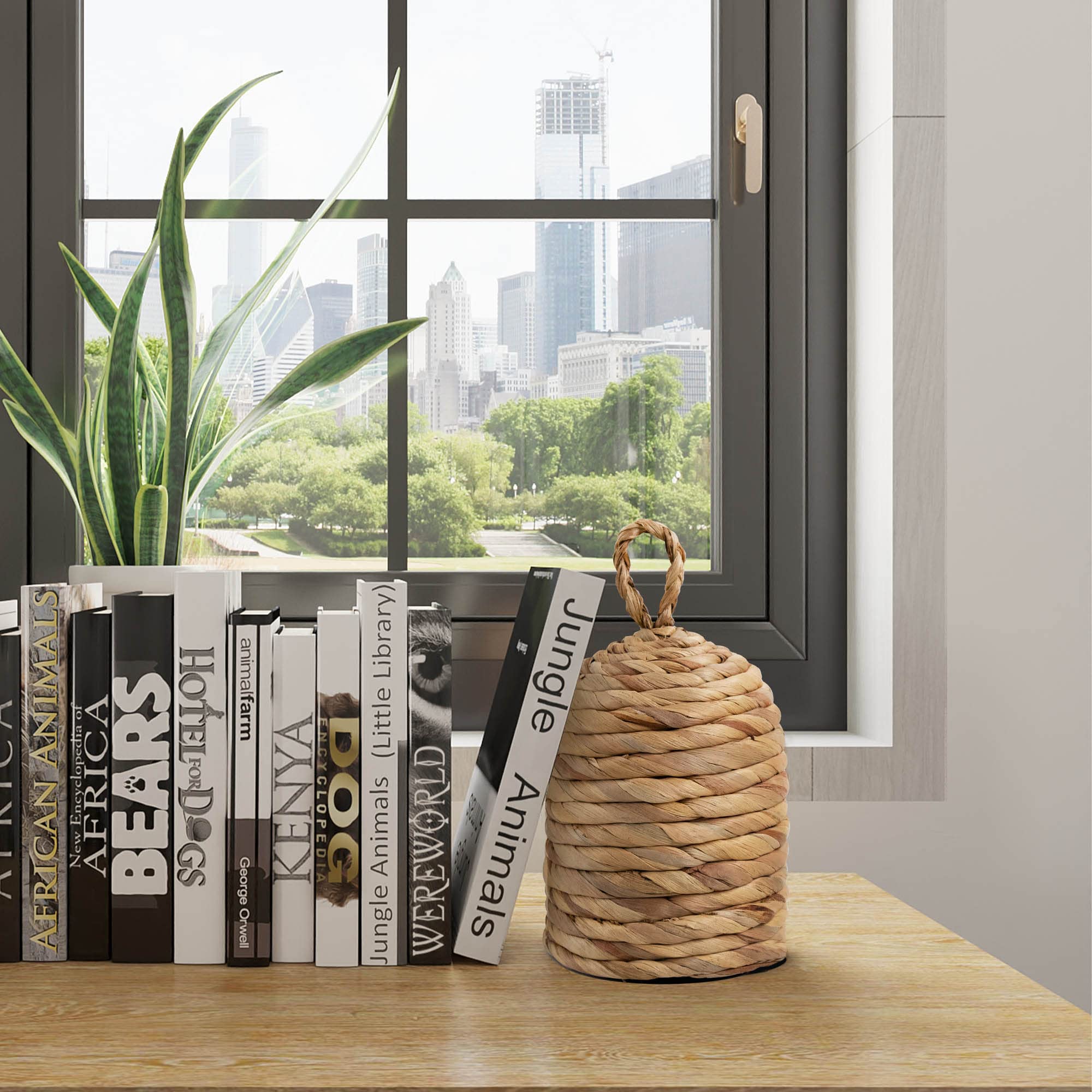https://m.media-amazon.com/images/I/81DeHDNaZRL.jpg