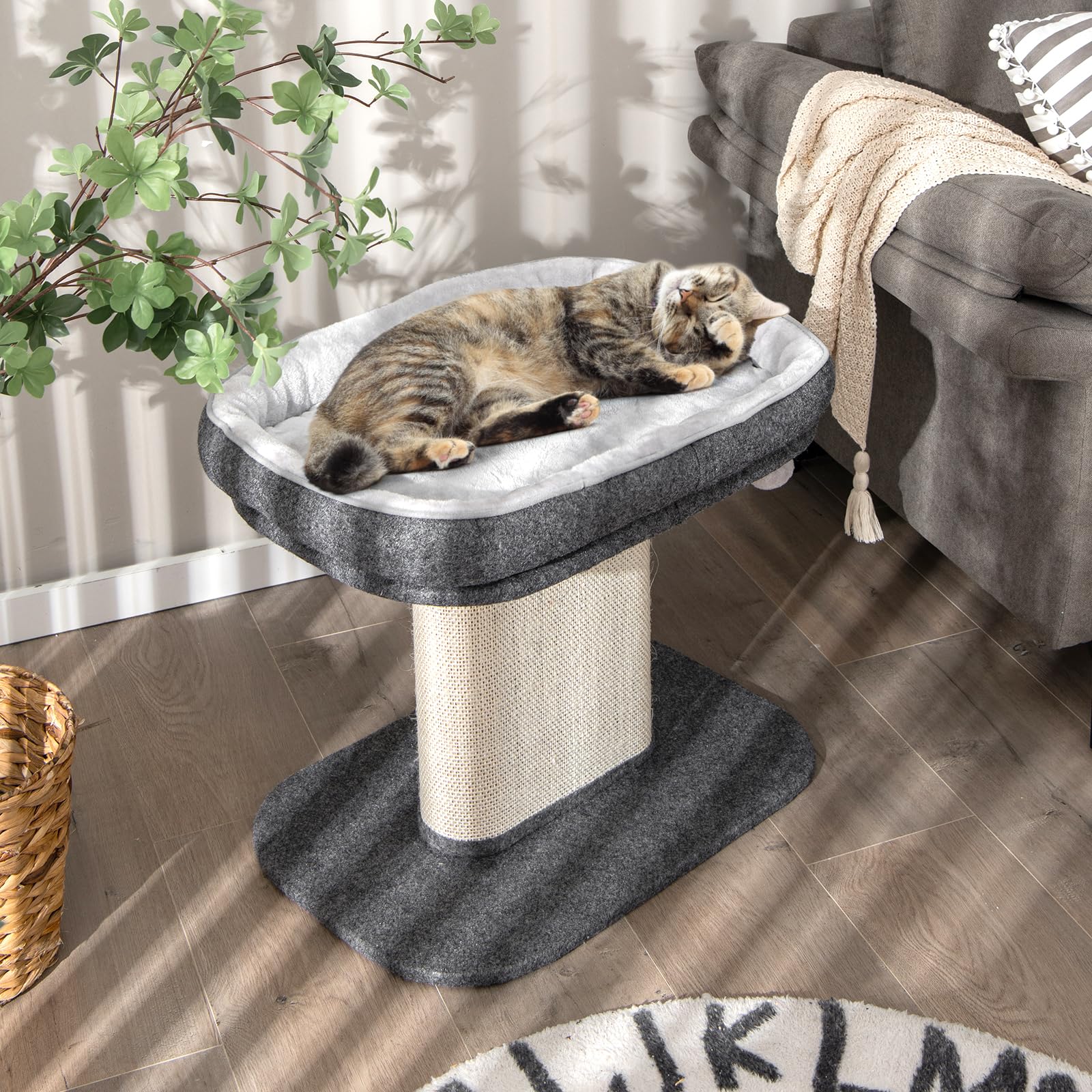 SOARS Tiragraffi piccolo, altezza 50 cm, tiragraffi per gatti con seduta in peluche e colonna in sisal e palla, albero da arrampicata in legno stabile, per gatti