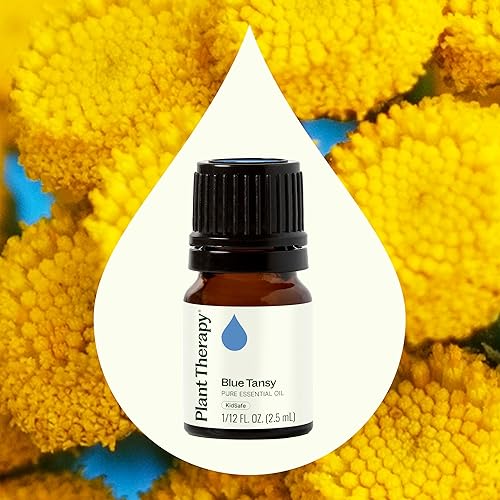 Miniatura 3 de Plant Therapy - Blue Tansy (tanaceto) - Aceite esencial, 100% puro, sin diluir, aromaterapia natural, grado terapéutico, 1/12 oz (2.5 ml)