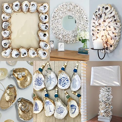 Miniatura 4 de QEQEKAKA 25 conchas de ostras cóncavas de 3 a 4 pulgadas para manualidades, conchas de ostras naturales a granel, para relleno de jarrones en el