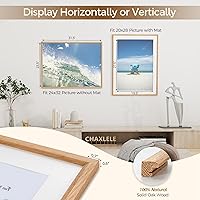 Vista 637 de Fun Memories Portarretratos de metal de 16 x 20 pulgadas con paspartú de 11 x 14 pulgadas, acabado de aluminio cepillado, parte delantera de vidrio