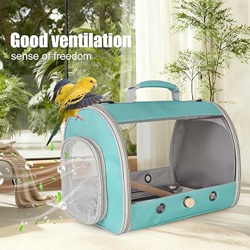 Small Bird Travel Carrier, Portable Bird Cage for Cockatiel Long Tail Parakeet with Metal Tray Soft Mat Wooden Stand Perch (Green, Cylindar Design)