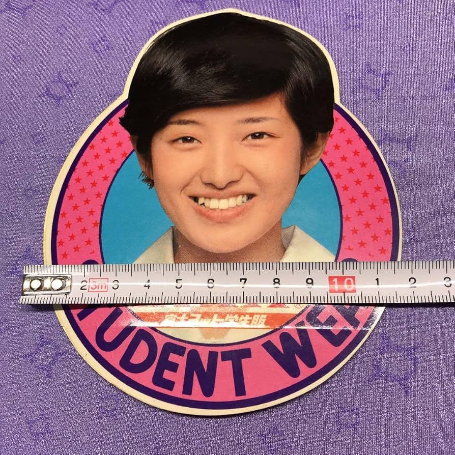 昭和 LPレコード 19枚＋2キャンディーズ山口百恵アリスピンク