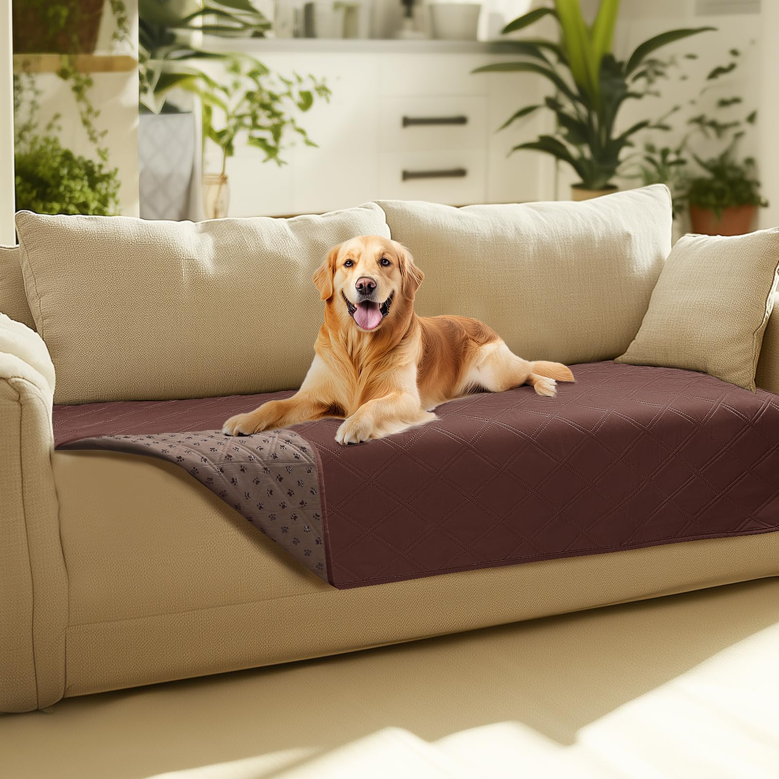 luciphia Copridivano per Cani Impermeabile, Coperta per Cani 100% Impermeabile con Punti Antiscivolo Tappetino Protezione per Mobili Bambini Cane Gatti Lavaggio in Lavatrice Marrone 76_x_178cm