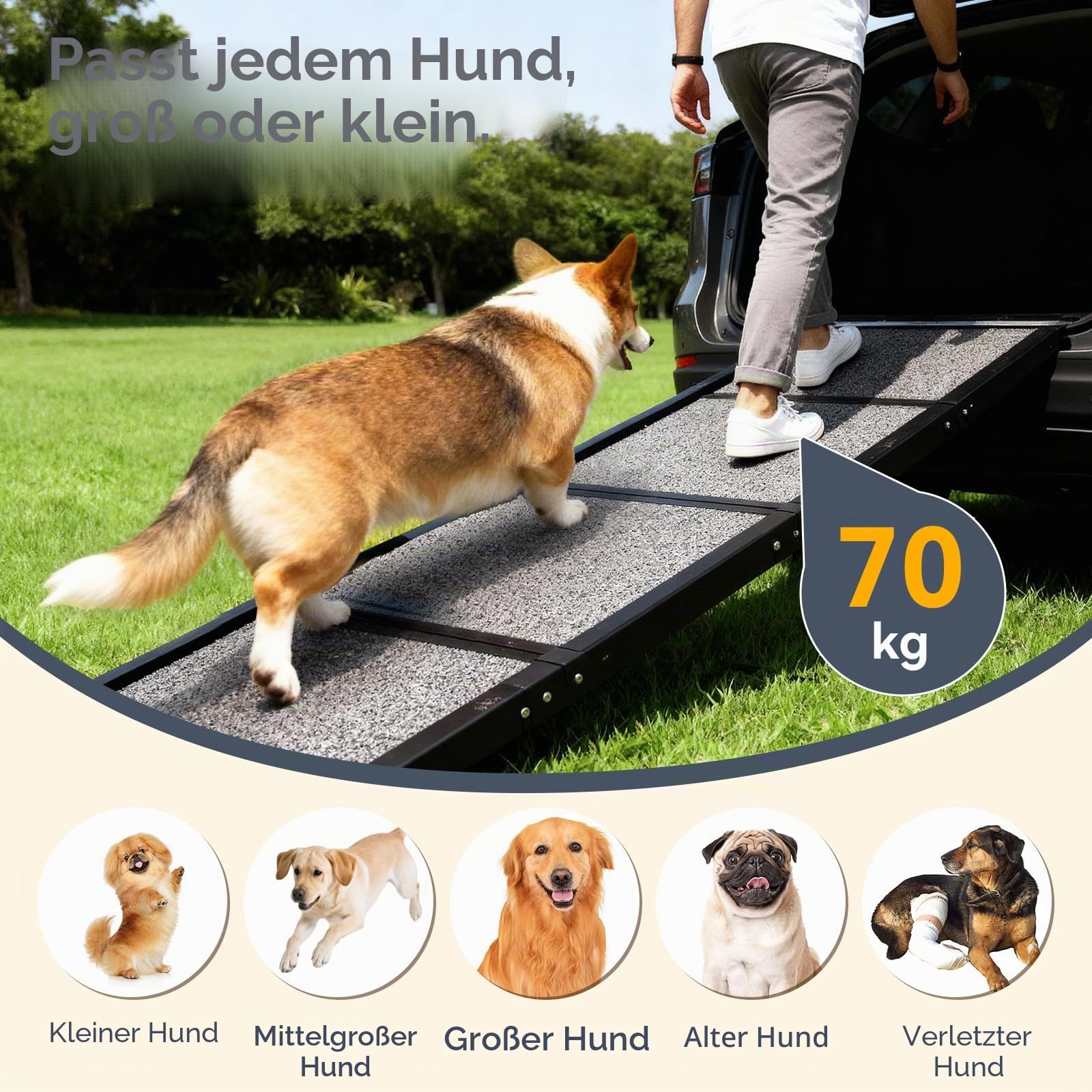 【170cm Faltbare Hunderampe für Autos】Rutschfeste Haustiertreppe für mittelgroße und große Hunde bis zu 7 kg, leichte tragbare Haustiertreppe für Auto, SUV, LKW, Bett, Sofa, Innen- und Außenbereich